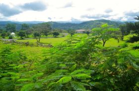 Boquete Panama view of ferns, field, and mountains, with clouds – Best Places In The World To Retire – International Living